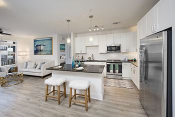 Gourmet kitchens with stainless steel appliances
